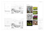 design your house floor plan, elevations and architectural drawings